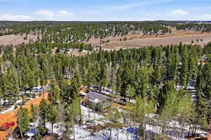 747 Trout Haven Rd, Florissant, CO 80816 - Photo 13