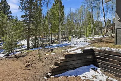 747 Trout Haven Road, Florissant, CO 80816 - Photo 39