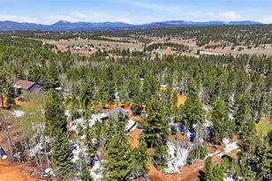 747 Trout Haven Rd, Florissant, CO 80816 - Photo 15