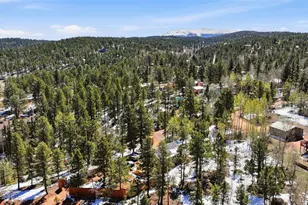 747 Trout Haven Rd, Florissant, CO 80816 - Photo 11