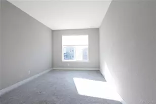 199 Simmental Loop, Castle Rock, CO 80104 - Photo 33