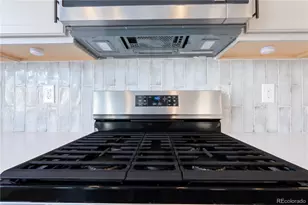 199 Simmental Loop, Castle Rock, CO 80104 - Photo 13