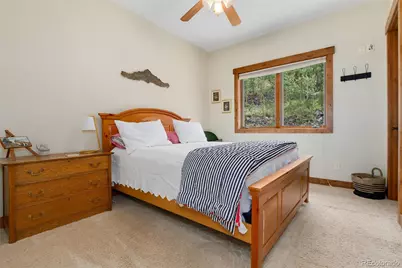592 Ponderosa Road, Alma, CO 80440 - Photo 27