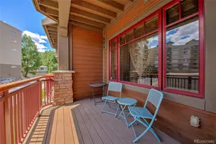 1101 Divide Road, Frisco, CO 80443 - Photo 19