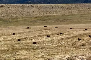 11355 E Co Rd 270, Nathrop, CO 81236 - Photo 49