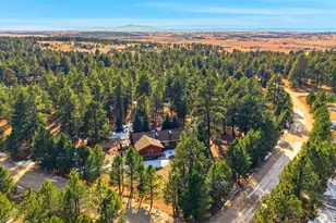 35829 Whispering Pine, Elizabeth, CO 80107 - Photo 37