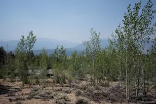 3029 Yankee Blade, Granite, CO 81228 - Photo 15