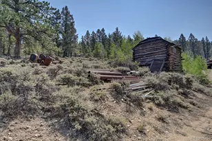 3029 Yankee Blade, Granite, CO 81228 - Photo 9
