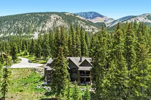 50 Cooney Ct, Blue River, CO 80424 - Photo 47