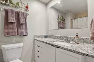 6737 S Race St, Centennial, CO 80122 - Photo 17