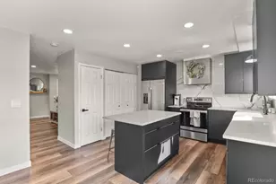 6737 S Race St, Centennial, CO 80122 - Photo 11