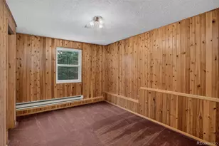 31788 Chalet Dr, Conifer, CO 80433 - Photo 33