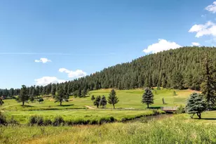 30163 Canterbury Cir, Evergreen, CO 80439 - Photo 33