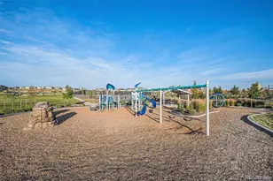 14341 Beebalm Loop, Parker, CO 80134 - Photo 33