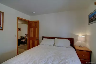 434 S Random Road, Bailey, CO 80421 - Photo 37