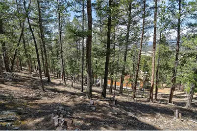 434 S Random Road, Bailey, CO 80421 - Photo 41