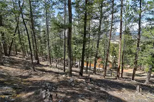 434 S Random Rd, Bailey, CO 80421 - Photo 41
