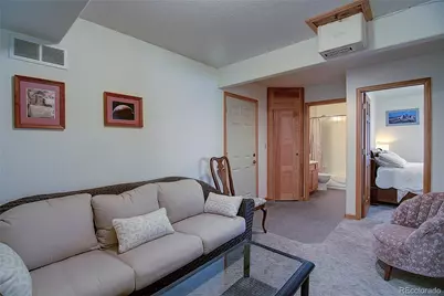 434 S Random Road, Bailey, CO 80421 - Photo 31