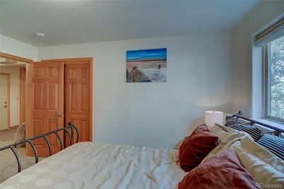 434 S Random Road, Bailey, CO 80421 - Photo 39