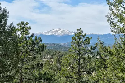 434 S Random Road, Bailey, CO 80421 - Photo 5