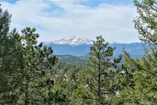 434 S Random Rd, Bailey, CO 80421 - Photo 5