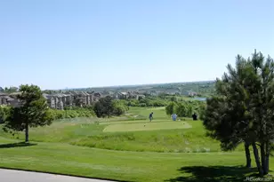 894 Parkcliff Ln, Castle Pines, CO 80108 - Photo 35