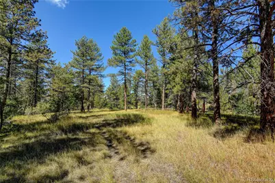 E Park Drive, Franktown, CO 80116 - Photo 7