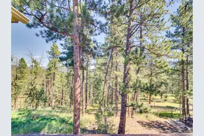29203 & 29253 Lee Road, Evergreen, CO 80439 - Photo 39