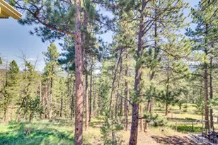 29203 Lee Rd, Evergreen, CO 80439 - Photo 39