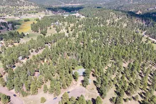 29203 Lee Rd, Evergreen, CO 80439 - Photo 11
