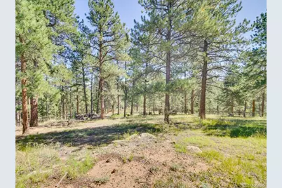 29203 & 29253 Lee Road, Evergreen, CO 80439 - Photo 31