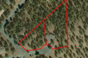 29203 Lee Rd, Evergreen, CO 80439 - Photo 7