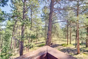 29203 Lee Rd, Evergreen, CO 80439 - Photo 37