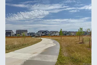 3674 Watts Street, Timnath, CO 80547 - Photo 47