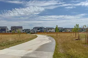 3674 Watts St, Timnath, CO 80547 - Photo 47