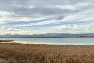 3674 Watts St, Timnath, CO 80547 - Photo 37