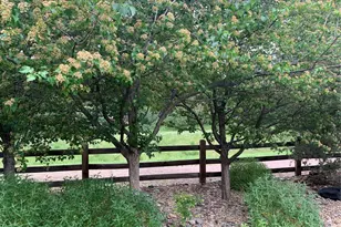 6526 S Abilene St, Englewood, CO 80111 - Photo 35