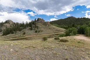 63 Welsh Cob Ln, Como, CO 80432 - Photo 13