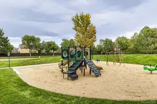 10660 Pommel Ct, Parker, CO 80134 - Photo 47