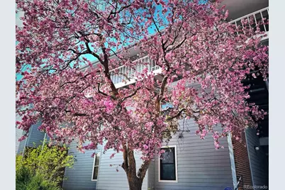 3121 S Tamarac Drive #208H, Denver, CO 80231 - Photo 3