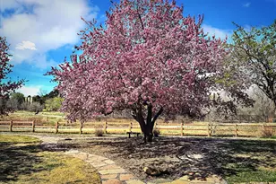 3121 S Tamarac Dr, Denver, CO 80231 - Photo 39