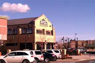 9454 Wolfe Pl, Highlands Ranch, CO 80129 - Photo 45