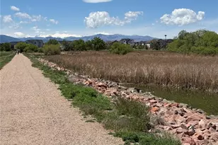 4825 Hahns Peak Dr, Loveland, CO 80538 - Photo 41