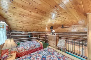 22680 Co Rd 292, Nathrop, CO 81236 - Photo 19