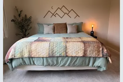303 Virginia Road #E, Bailey, CO 80421 - Photo 17