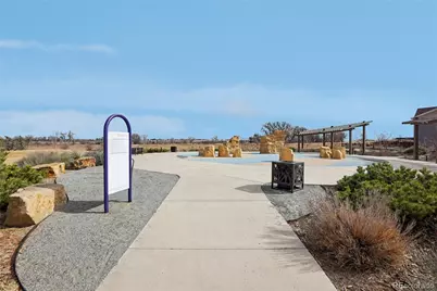 2998 Kestrel Street, Brighton, CO 80601 - Photo 31