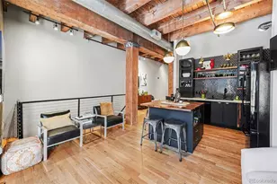 2960 Inca Street, Denver, CO 80202 - Photo 3