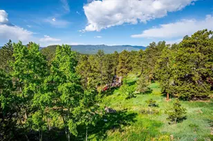 429 Overlook Dr, Bailey, CO 80421 - Photo 27