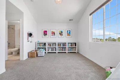 6635 Tremolite Drive, Castle Rock, CO 80108 - Photo 29