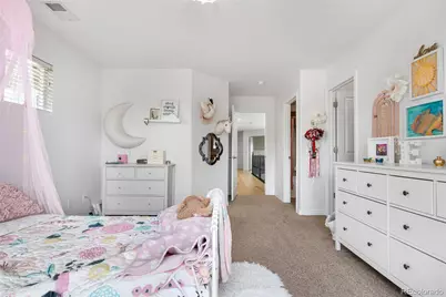 6635 Tremolite Drive, Castle Rock, CO 80108 - Photo 25